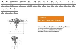 Picture of JRGUMAT Thermomischer PN10, 60°C - Art.Nr. : 3100.060