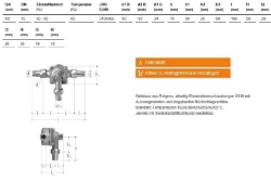 Picture of JRGUMAT Thermomischer PN10, 65°C - Art.Nr. : 3100.065