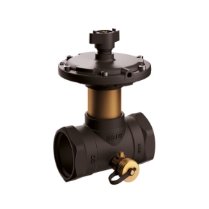 Bild von Flamco - comap - Passim DN 50 2" IG 35-75kPa m. ELE, Art.Nr. : MN80597.582